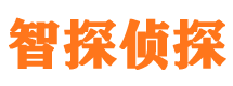 胶南市私家侦探